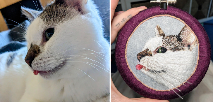 A First Portrait Ever: a Cat With Whiskers Made of Clear Jewelry Cord