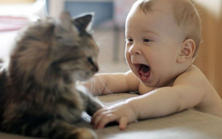 25 Photos That Show Why Every Child Should Have a Pet