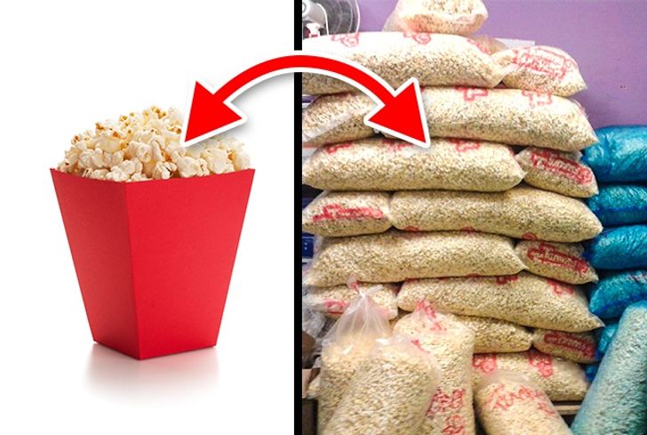 10 Secrets Movie Theaters Are Hiding From You