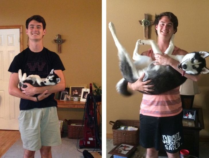 20 Before and After Animal Photos That Show How Precious Time Is