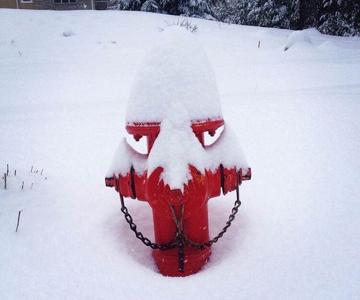 28 Icy Photos Proving Winter Is Not for the Faint-Hearted