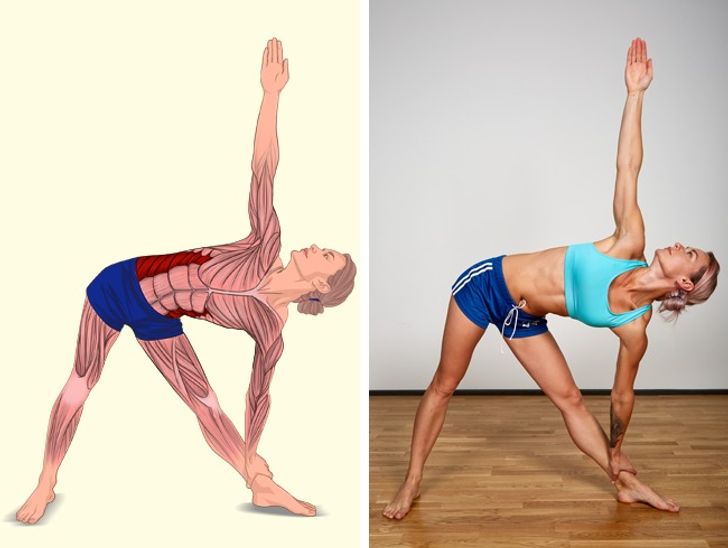 These 18 Pictures Will Show Which Muscles You Stretch