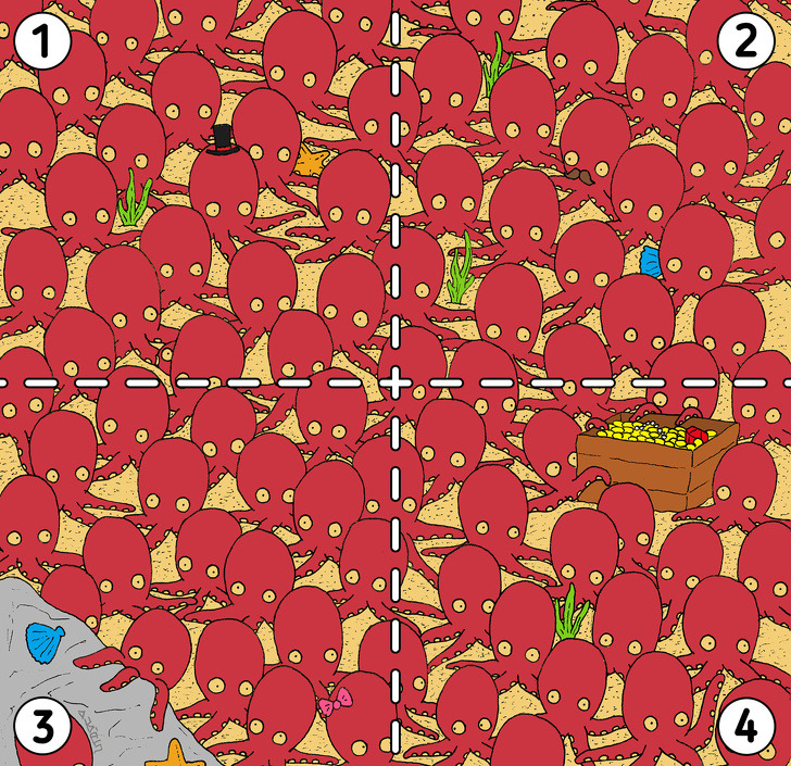 Where’s the fish?