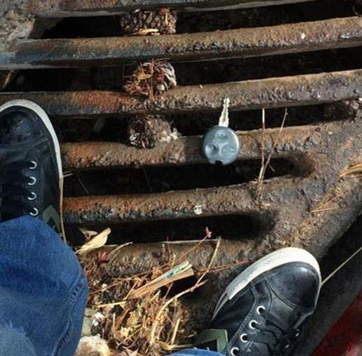 24 njerëz që duket se kanë fat të mirë të pafund