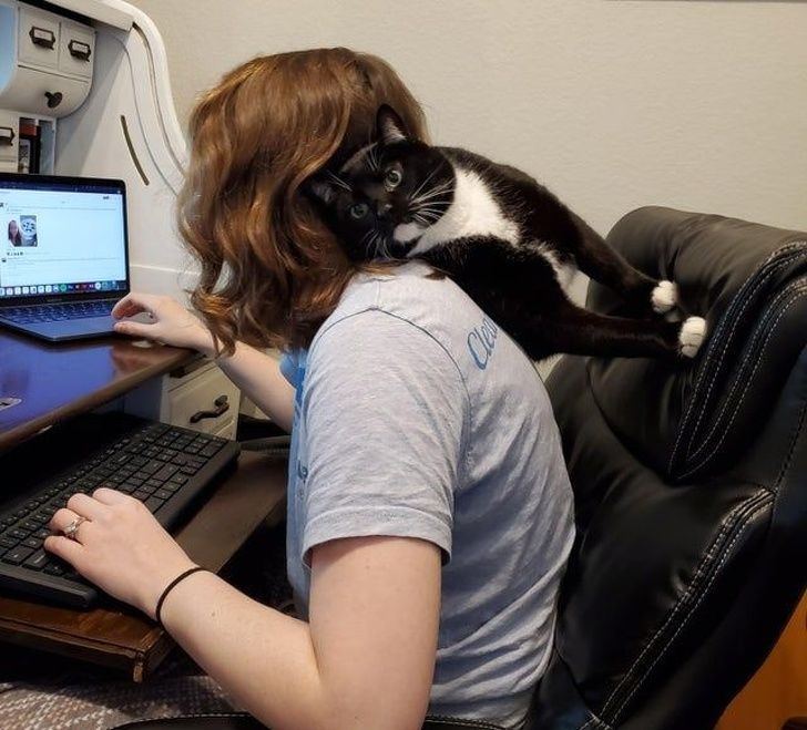 20 Photos Proving That Our Cats Aren’t Always the Sweet Kitties They Pretend to Be