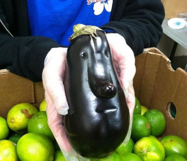 24 Hilariously Misleading Things That Will Make You Look Twice