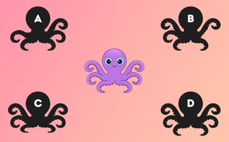 Find the right shadow for the octopus.