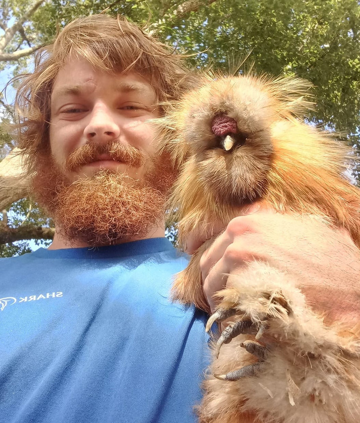 c0753b51fab6b9e80a41614532 20+ Photos That Prove Owners and Their Pets Are Hilariously Alike / Bright Side