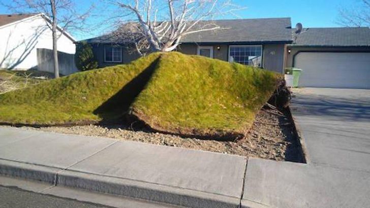 15 Pics Proving That the Wind Has a Sense of Humor