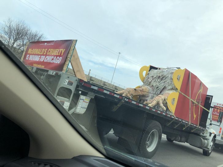 22 foto absurde ku gjithçka duket e gabuar