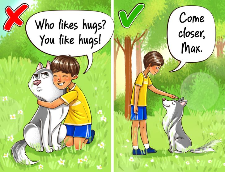 do dogs get stressed from hugs