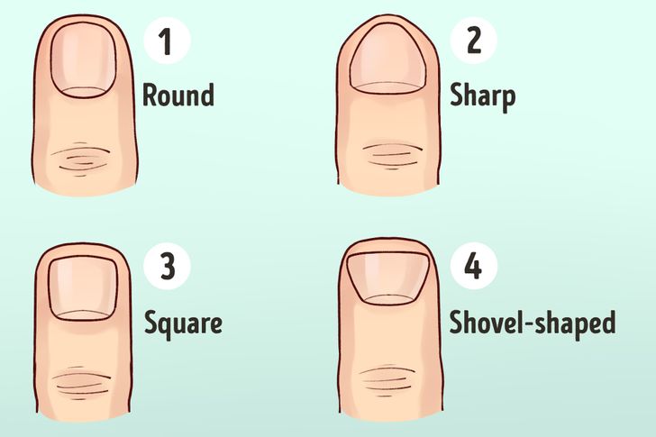 Scientists Reveal How to Tell a Person’s Character by the Shape of Their Hands