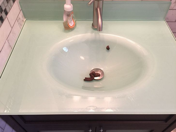 25 Unexpected Photos Showing That Sometimes Everything Goes Against You