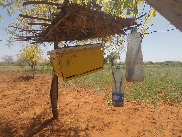 A beehive fence protecting farms in Voi, Kenya