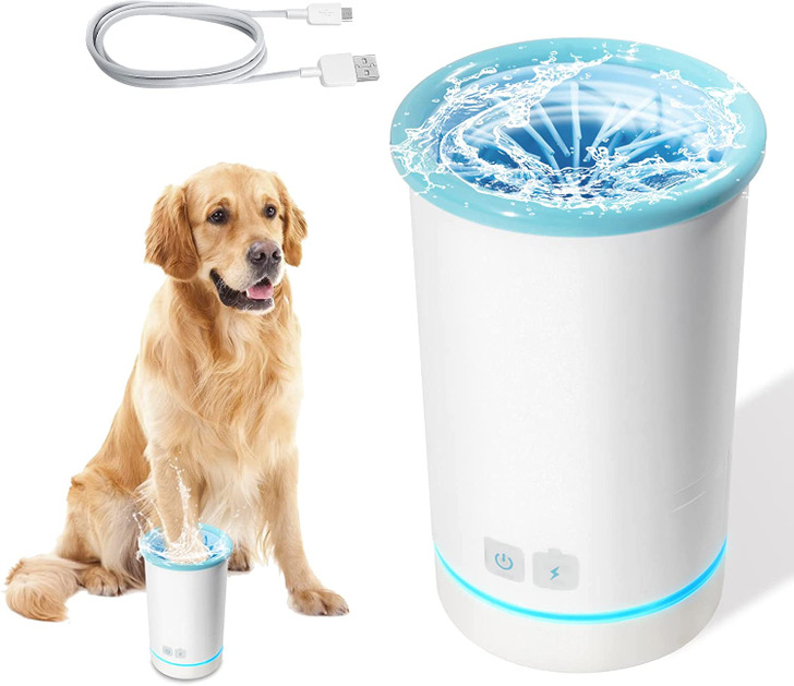 15 Amazon Products That Can Take Your Pet to the Land of Fun