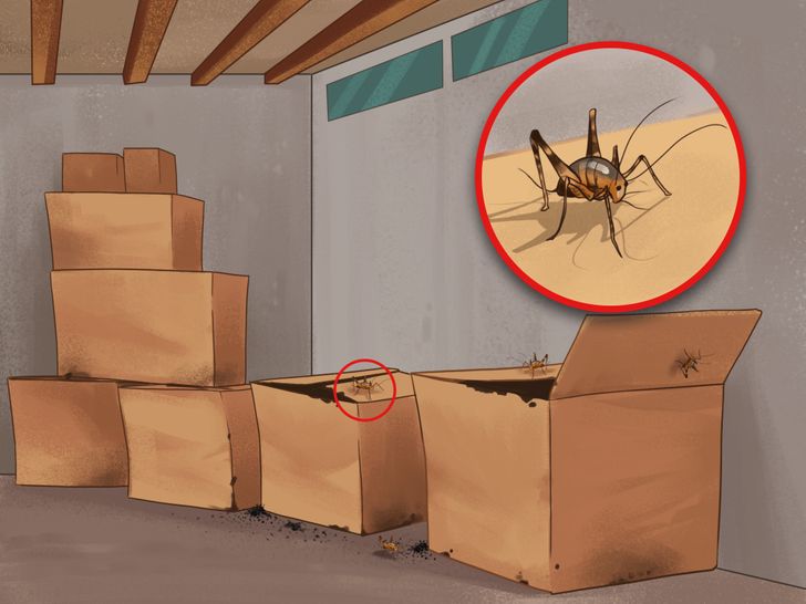 8 Signs You’re Living With Pests That Usually Go Unnoticed (and How to Identify Them)