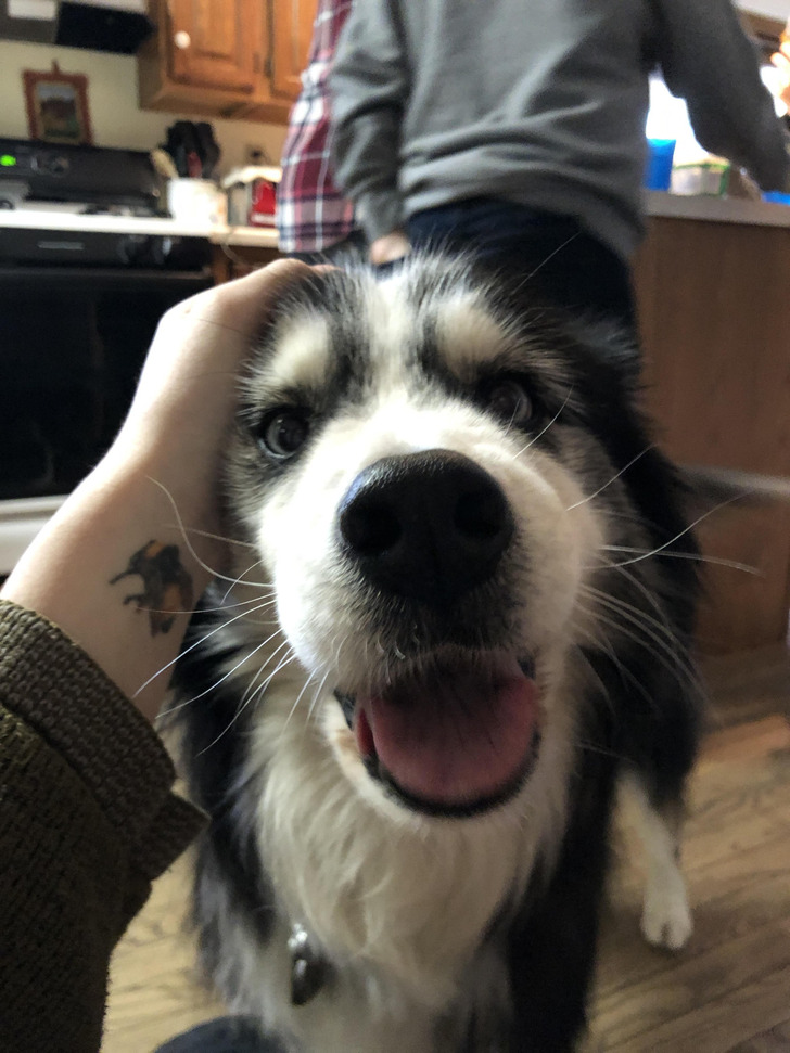 Blaze, 14 Years Old and a Million Kisses After College