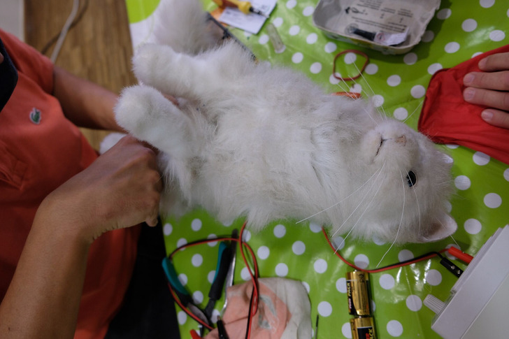Illustrative photo: volunteers fixing a toy at a repair café in Germany