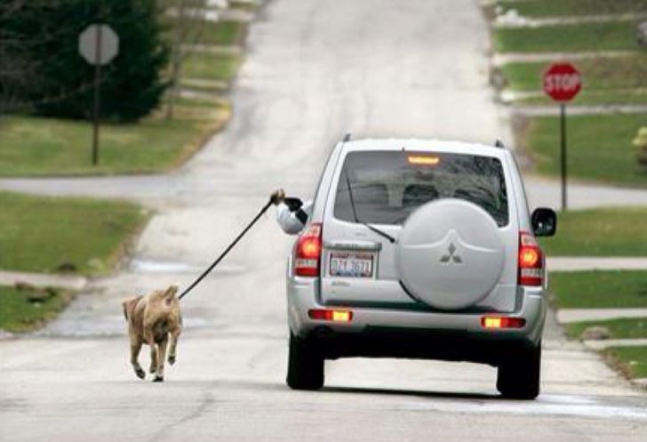21 Things Only True Lazybones Will Understand