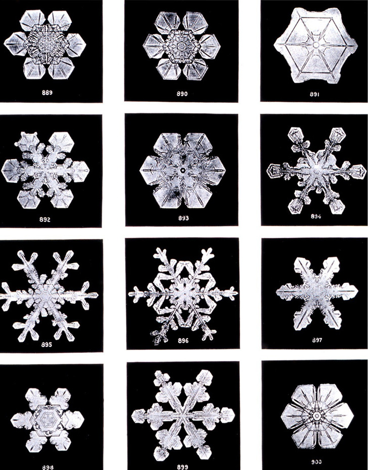 Snow crystals photographed by Wilson Bentley