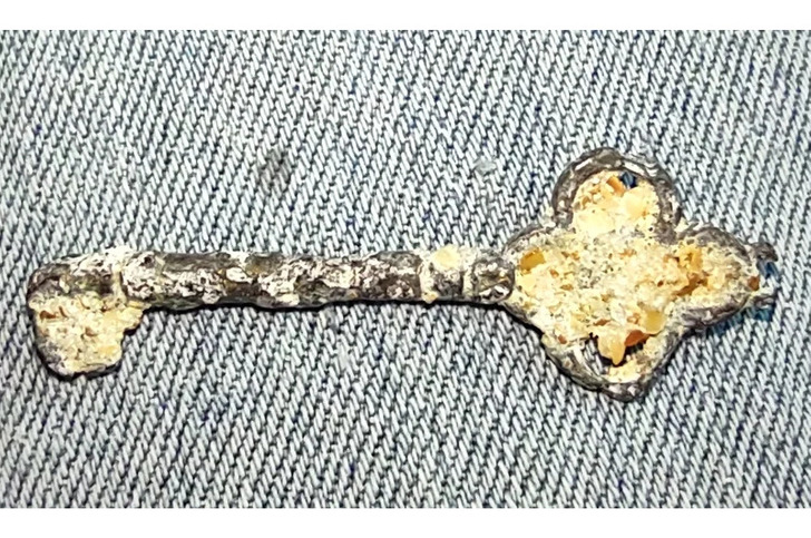 20 People Who Used a Metal Detector, and It Was Like Opening an Old Pirate Chest