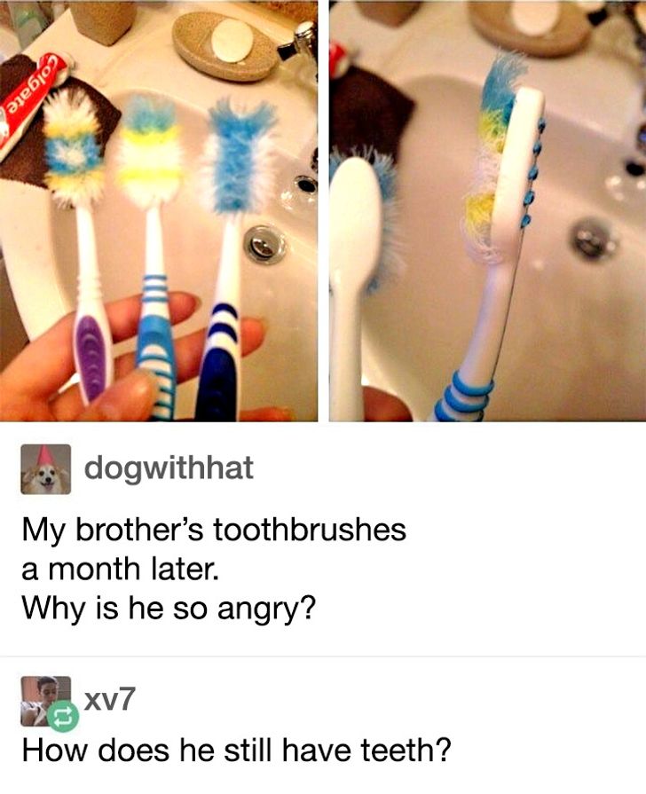 25 Unexpected Photos Showing That Sometimes Everything Goes Against You