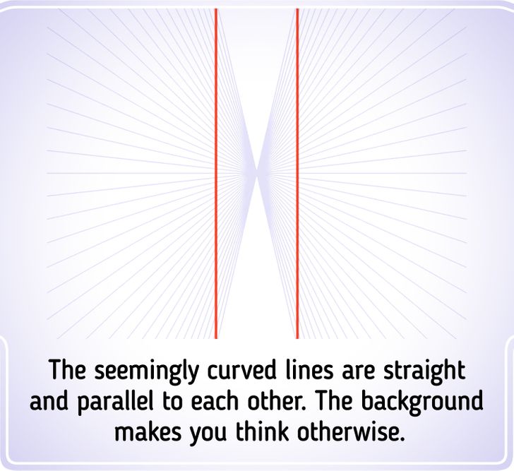 16 Optical Illusions That Made Us Seriously Doubt Our Eyes / Bright Side