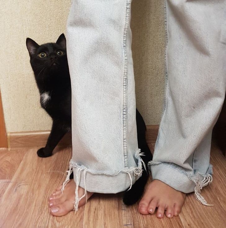 15 Mistakes Many Girls Make When Wearing Jeans / Bright Side