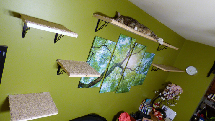 An $80 Cat Shelf Made to Match the Painting on the Wall