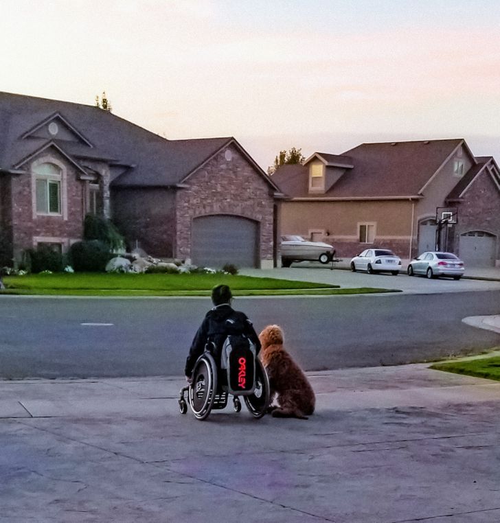 16 Heart-Touching Stories That Made Us Shed a Tear