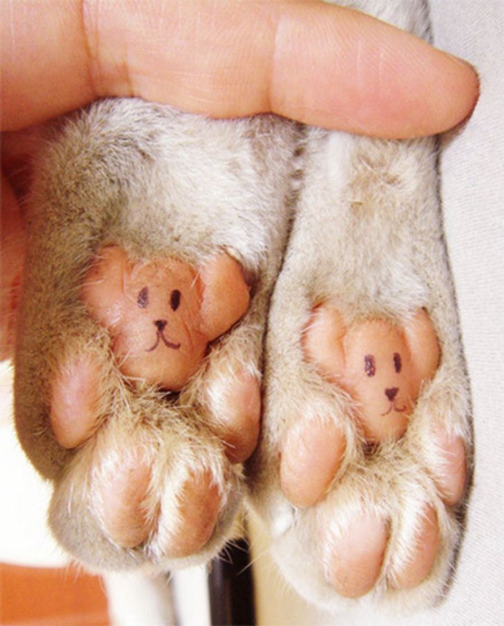25 Exhilarating Photos That Will Make You Smile When You’re Having a Bad Day