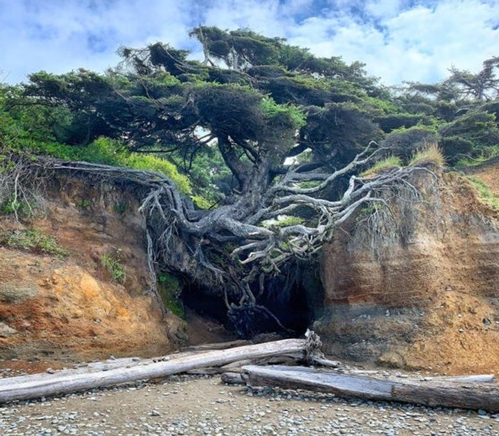 20+ Pics From Mother Nature That Will Make You Wonder If They Are Real or Not