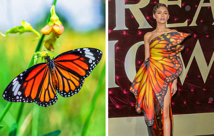 15 Celebrities Featuring Animal-Inspired Outfits to Prove Nature Is the Best Source of Inspiration