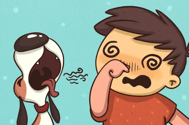 13 Comics About What We Do to Our Pets