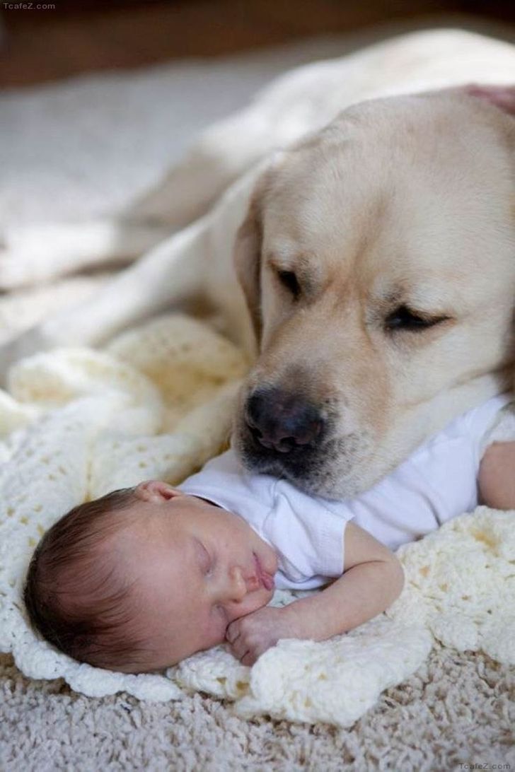 25 Photos That Show Why Every Child Should Have a Pet
