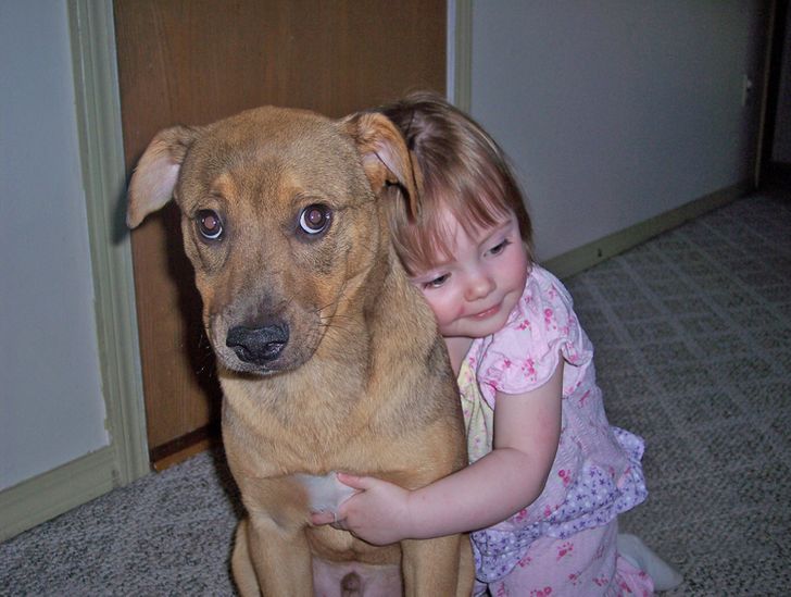 rochester humane society dogs