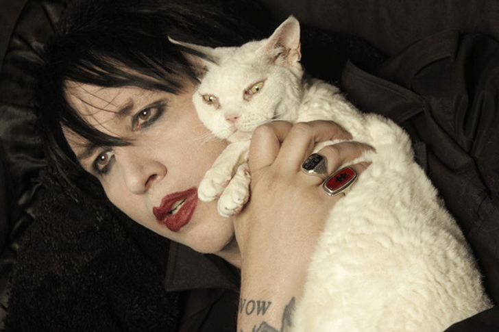 15 handsome men with their kittens
