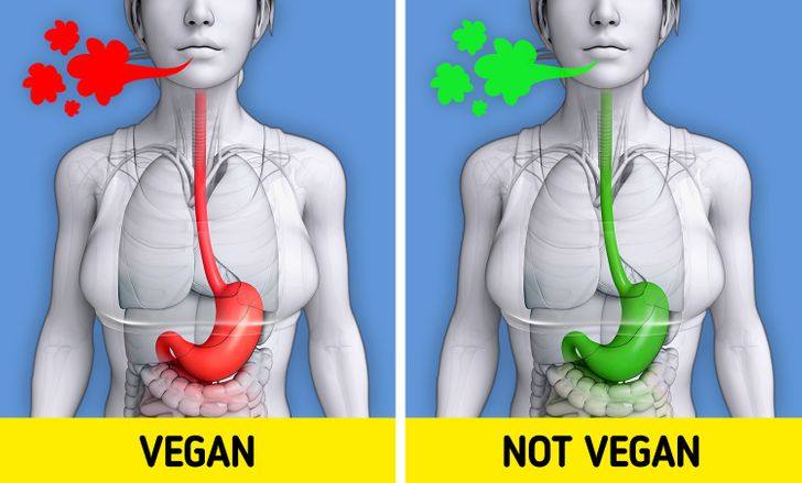 10 Things That Happen in Our Body When We Go Vegan