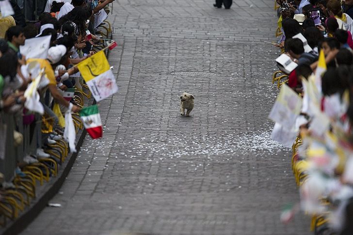 25 Exhilarating Photos That Will Make You Smile When You’re Having a Bad Day