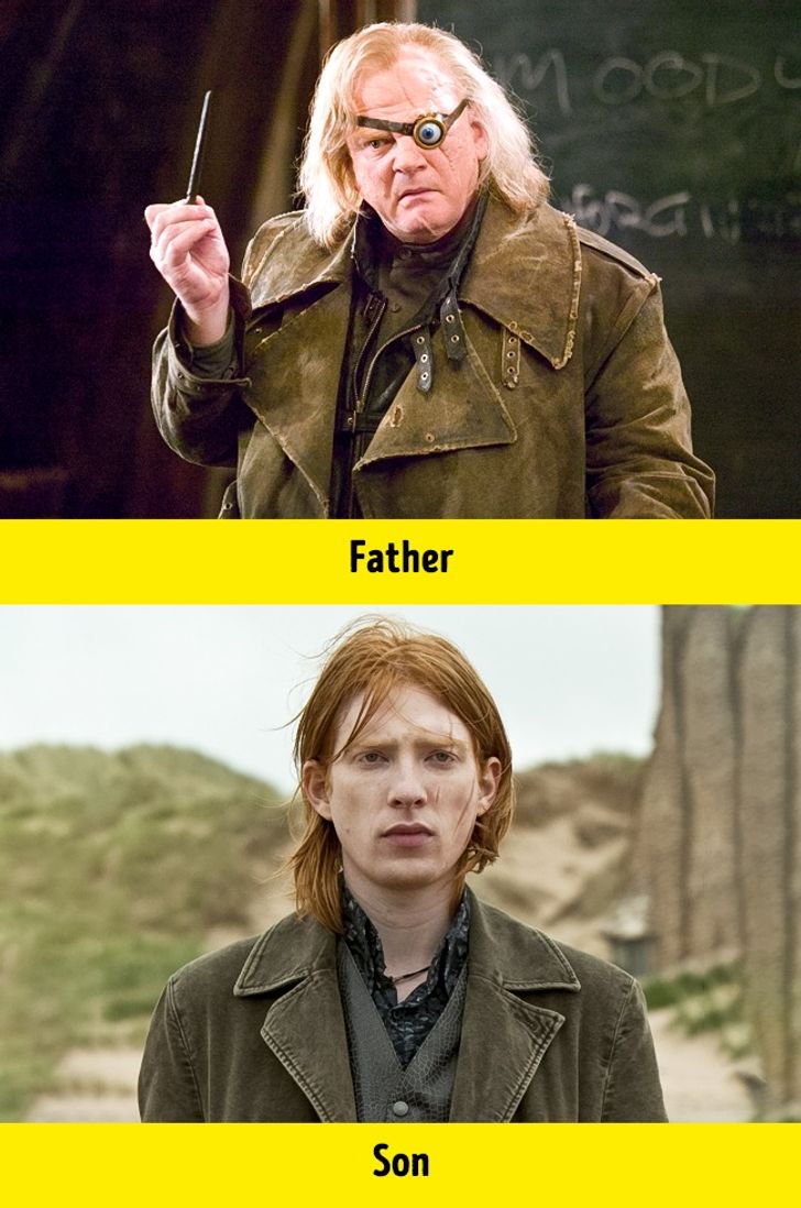 12 Details We Never Noticed in the “Harry Potter” Movies 12 Details We Never Noticed in the “Harry Potter” Movies