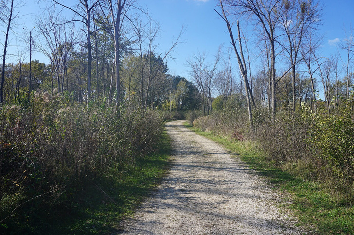 A path in Havenwoods State Forest, Milwaukee, October 2025