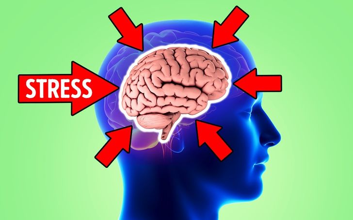 Your Brain Can Shrink From Stress, but You Have the Power to Stop It