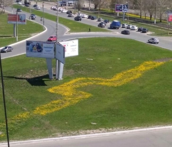 20 de fotografii care dovedesc lumea încă mai păstrează multe surprize