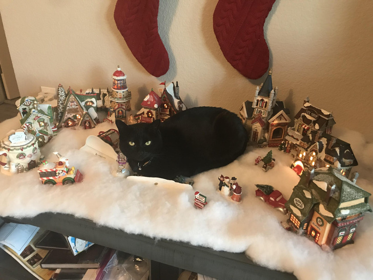 A Village Almost Finished, and a Cat Who Found the Best Spot in Town