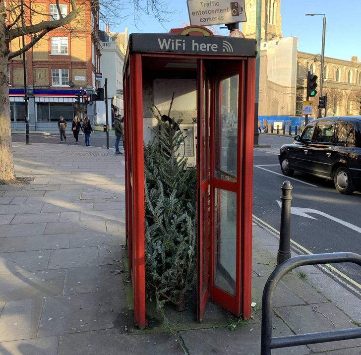 15+ Photos That Prove Life in London Is Anything but Boring