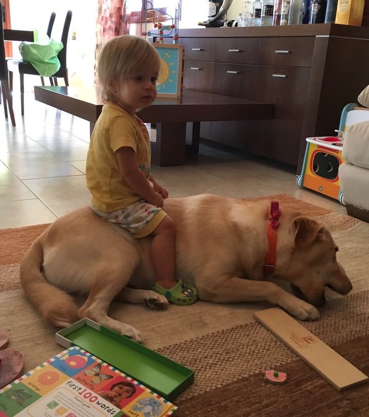 15 Pictures That Show How Patient Animal Love Can Be for Their Young Owners