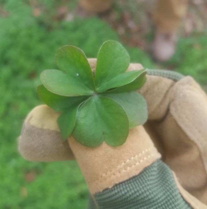 23 People Who Got Extremely Lucky When They Least Expected It