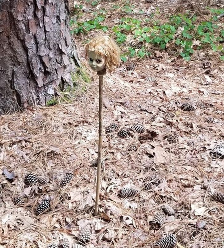 19 Foto që vëmë bast se askush nuk mund t'i shpjegojë