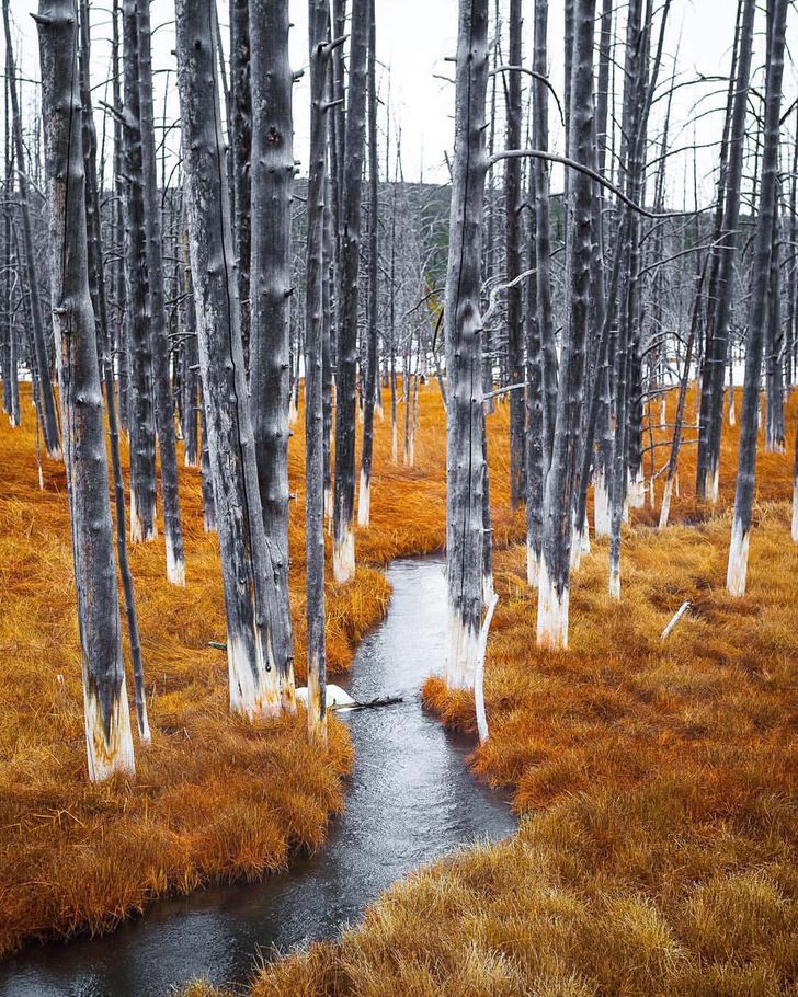 25 photos that prove the world is an utterly wonderful place
