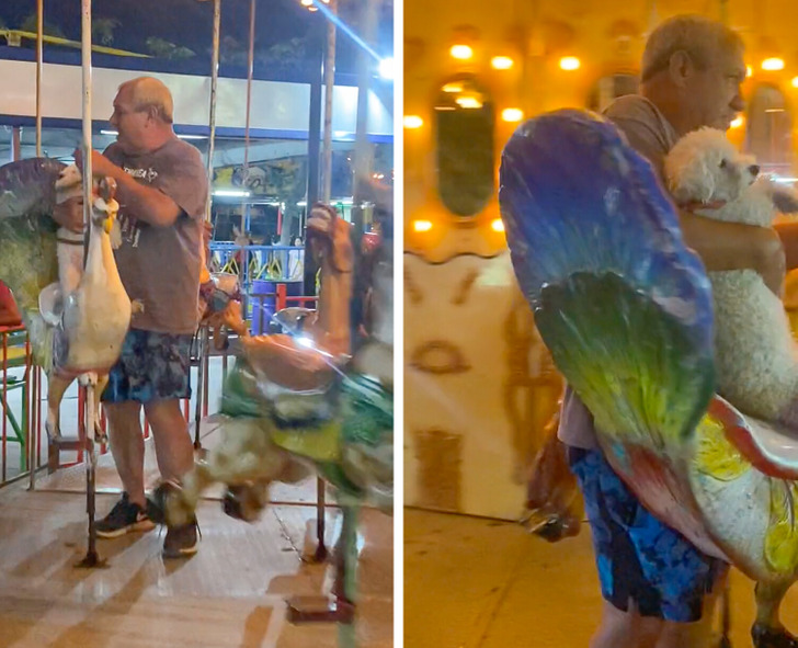 A collage of two pictures of a man holding his poodle dog on a carousel ride